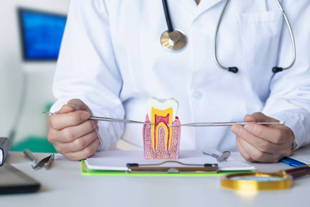 Best Root Canal Emergency Dentist  in Benton Park, CA